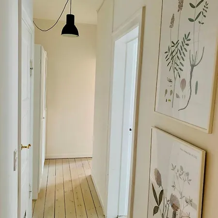 Near & Metro - Perfect For Friends & Family